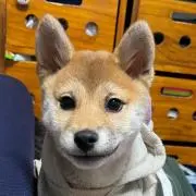 こひこひ♡の画像