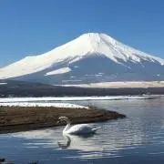 raparaの画像