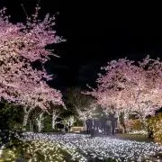 じゅーろの画像