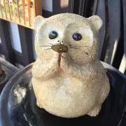 ろいろいの画像