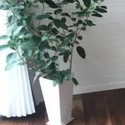 在庫確認お願いします