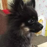 ( ◠‿◠ )の画像