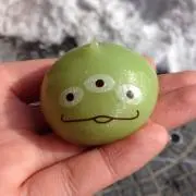 Hamaの画像