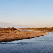 Livermoreの画像