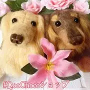 Peonyෆ˚*