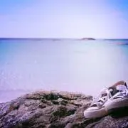れもんの画像
