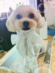 YR - M☆Shop ☆の画像