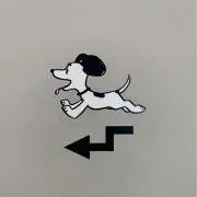 ぴんの画像