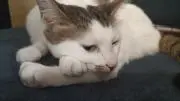 なおの画像