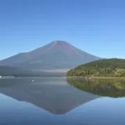 とむの画像