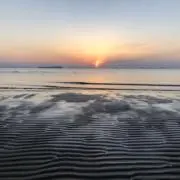 スマイルの画像