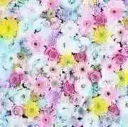 K お急ぎ対応NG.即購入OKの画像