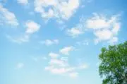 みー【フォロー割有り・プロフィール掲載】の画像