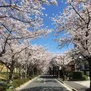 ガジェット好き二児の父の画像