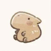 DSの画像