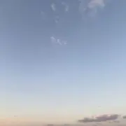にこの画像