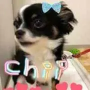 ちぃ☆