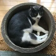 なお