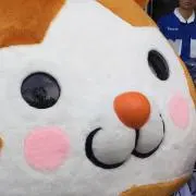 カモメの画像