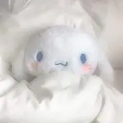 rnの画像