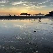 まっさぁーの画像