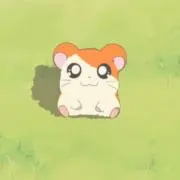 ゆめ☆彡の画像