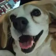 ひーちゃんの画像