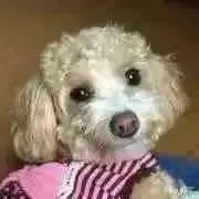 み～ま～❤〜7お休み❣️の画像