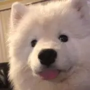 かゆいの画像
