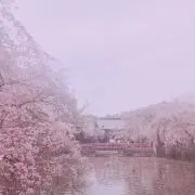あゆ