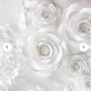 ミンミンの画像