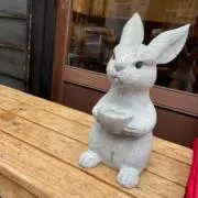 ゆー