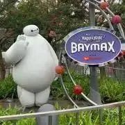 Bayの画像