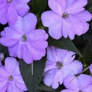 Dona⭐︎断捨離中の画像
