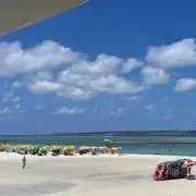 シゲの画像