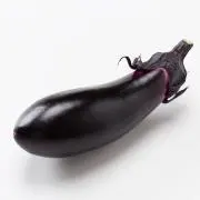 Aubergine