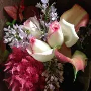 ***rose***