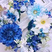 やっち♪即購入OK