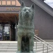 ベレスボン