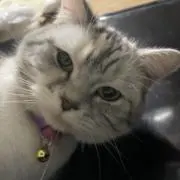 ★ぴょん吉★の画像