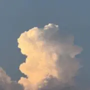 古着好きの画像