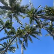 ♪ALOHA♪
