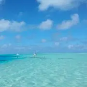 よしみの画像