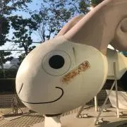 kの画像