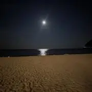 ルナの画像