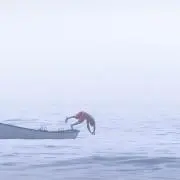 niagaraの画像