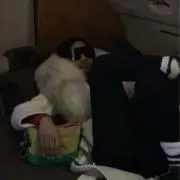 ぽいずん