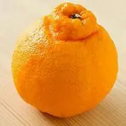 みかん