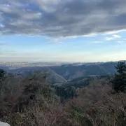 たくみの画像