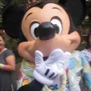 さくちゃんの画像
